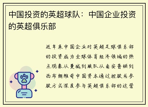 中国投资的英超球队：中国企业投资的英超俱乐部