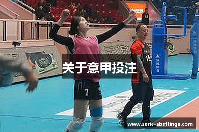 关于意甲投注